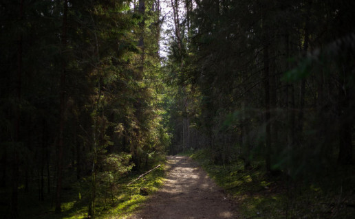 34_Juodlės takas (2).jpg